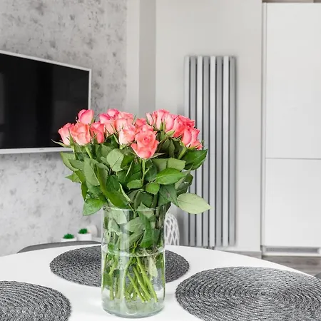 Premium Bandurskiego Apartman